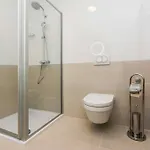 My Dalmatia - Providenca With Private Heated Pool * Debeljak